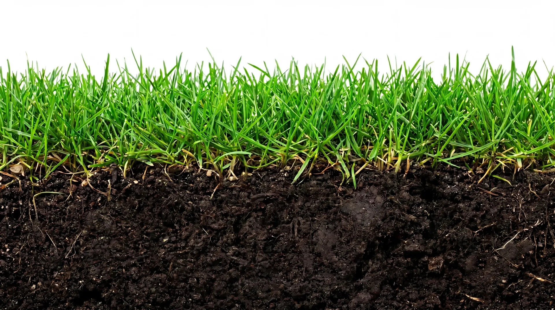 Earth and soil